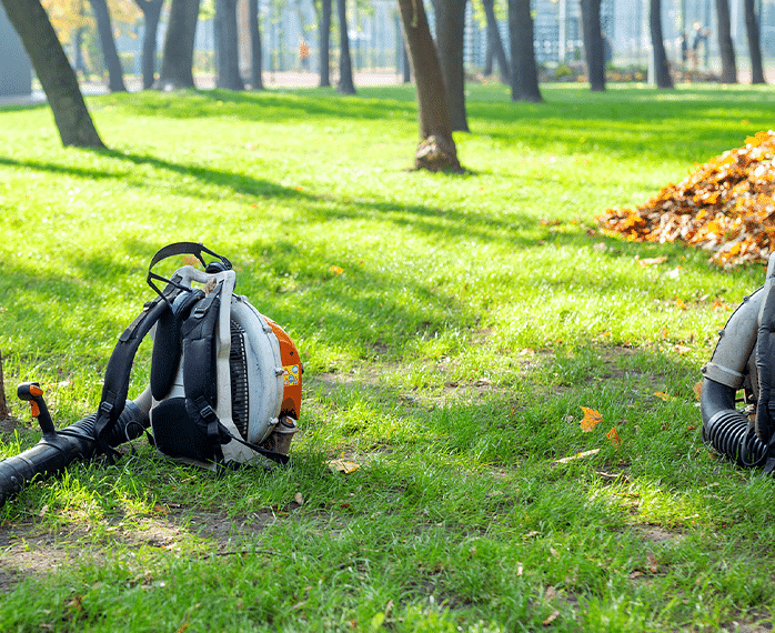 Expert fall cleanup services around Centerville, Ohio.